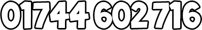 01744 602 716