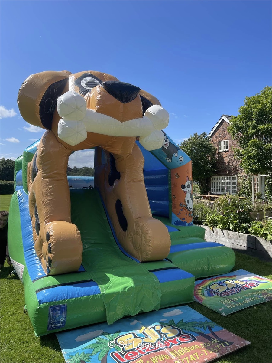 Dog Bouncy Castle & Front Slide Combo Bouncy Castle Hire Inflatable